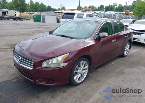 2010 Nissan Maxima 3.5 Sv z USA, uszkodzony, nr VIN 1N4AA5AP3AC834134